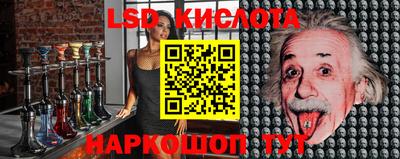 прущие грибы Кунгур