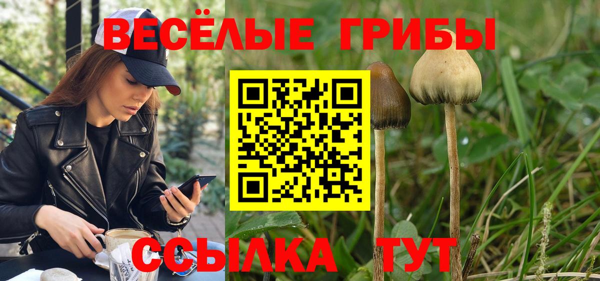 Галлюциногенные грибы MAGIC MUSHROOMS Елец