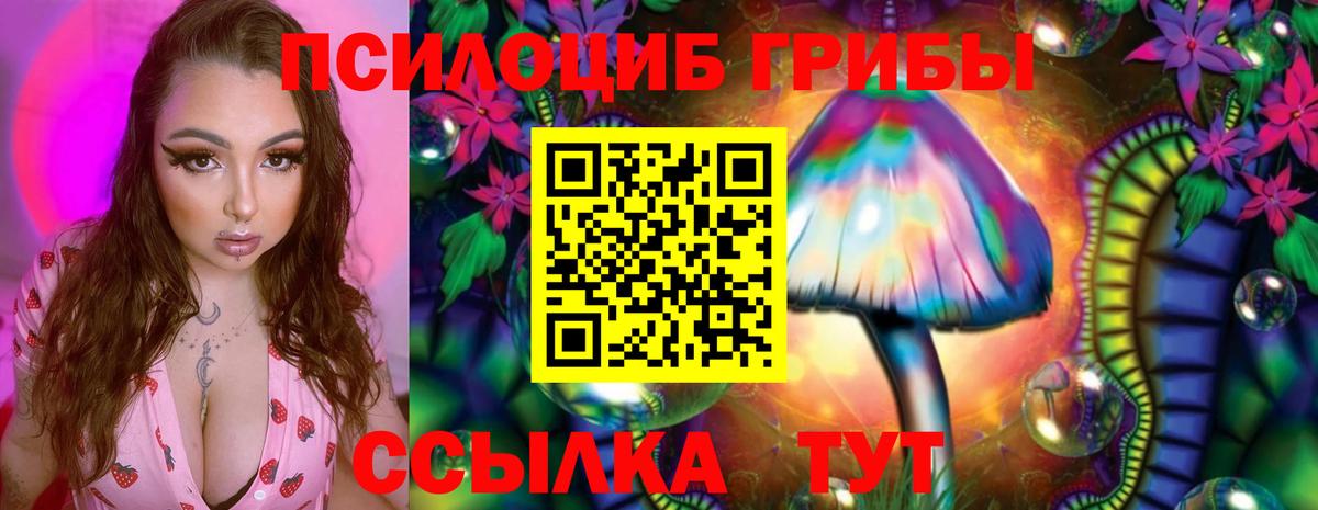 Псилоцибиновые грибы Cubensis  Вход с VPN  наркошоп  Елец  Псилоцибиновые грибы прущие грибы 